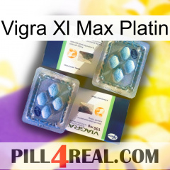 Vigra Xl Max Platinum viagra5